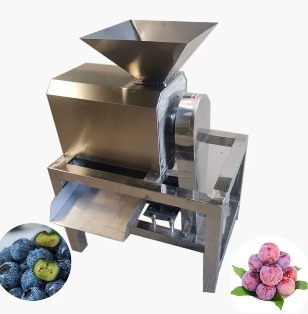 Przemysłowa wyciskarka do sokó – Juice Extractor Commercial recenzja i cena