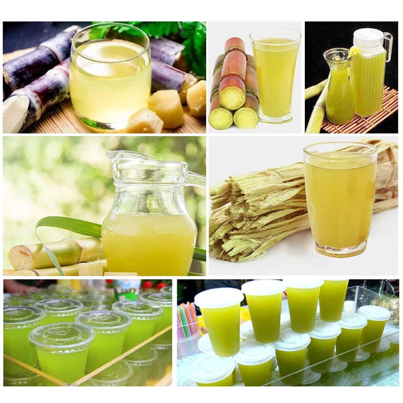 Ręczna wyciskarka do trzciny c – Juice Extractor Commercial recenzja i cena